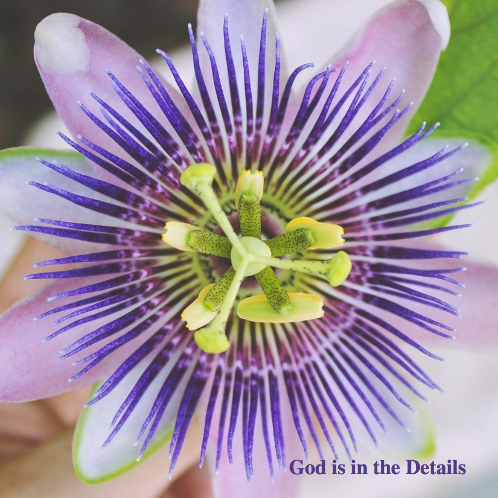 God is in the details